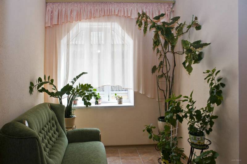 Фото Гостевого дома Приморский парк- Rooms-park Ялта 26