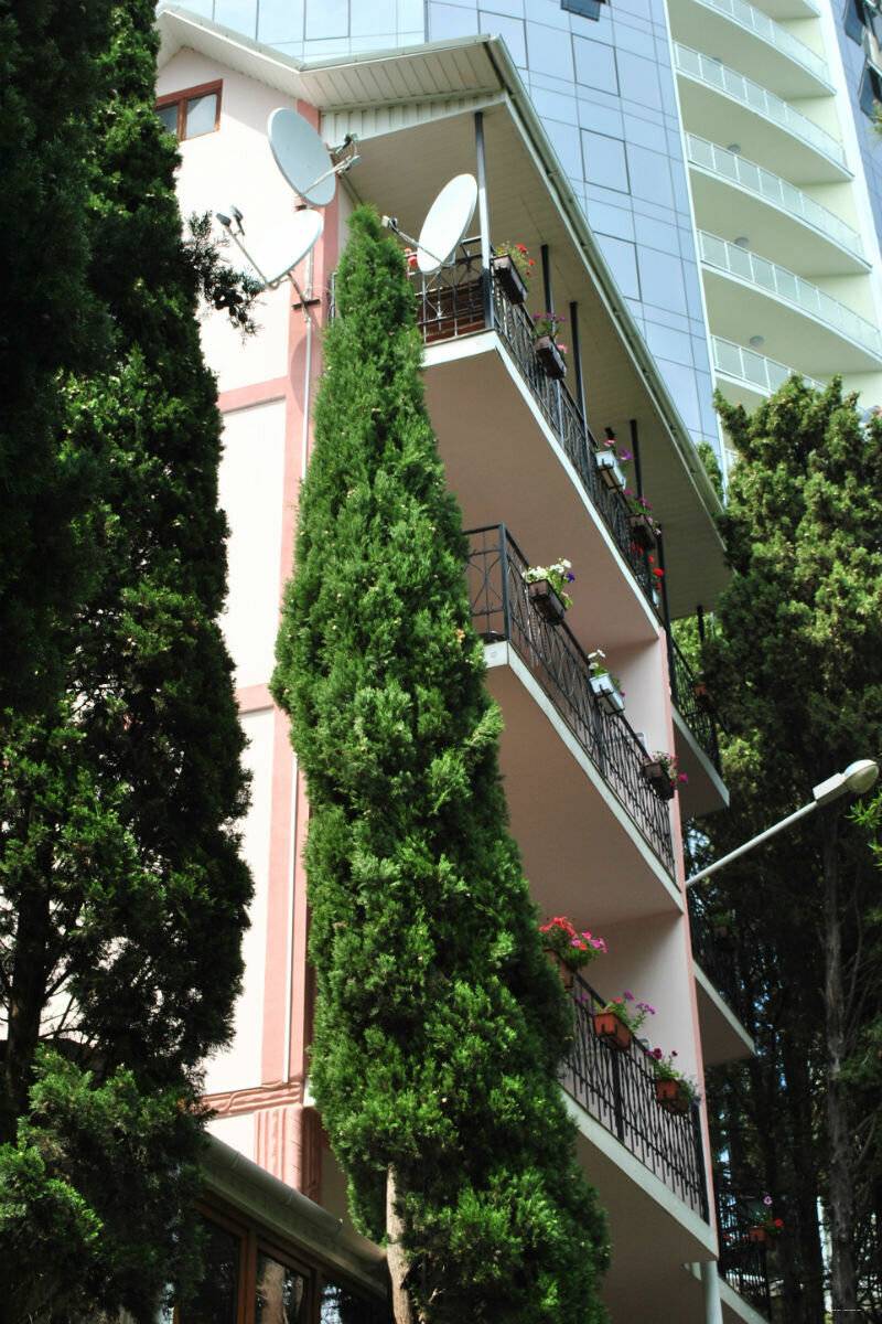 Фото Гостевого дома Приморский парк- Rooms-park Ялта 17